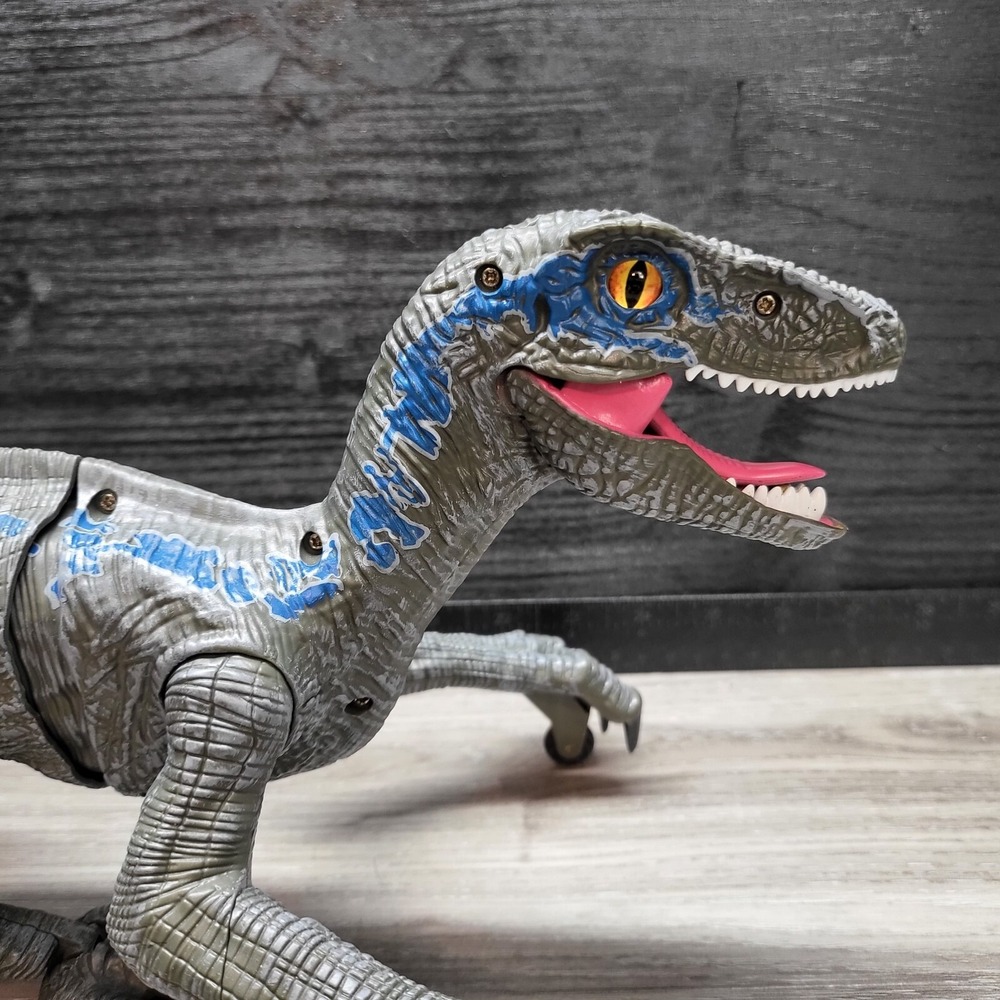 Remote Controlled Raptor No Remote! Tested! - Picture 5 of 16